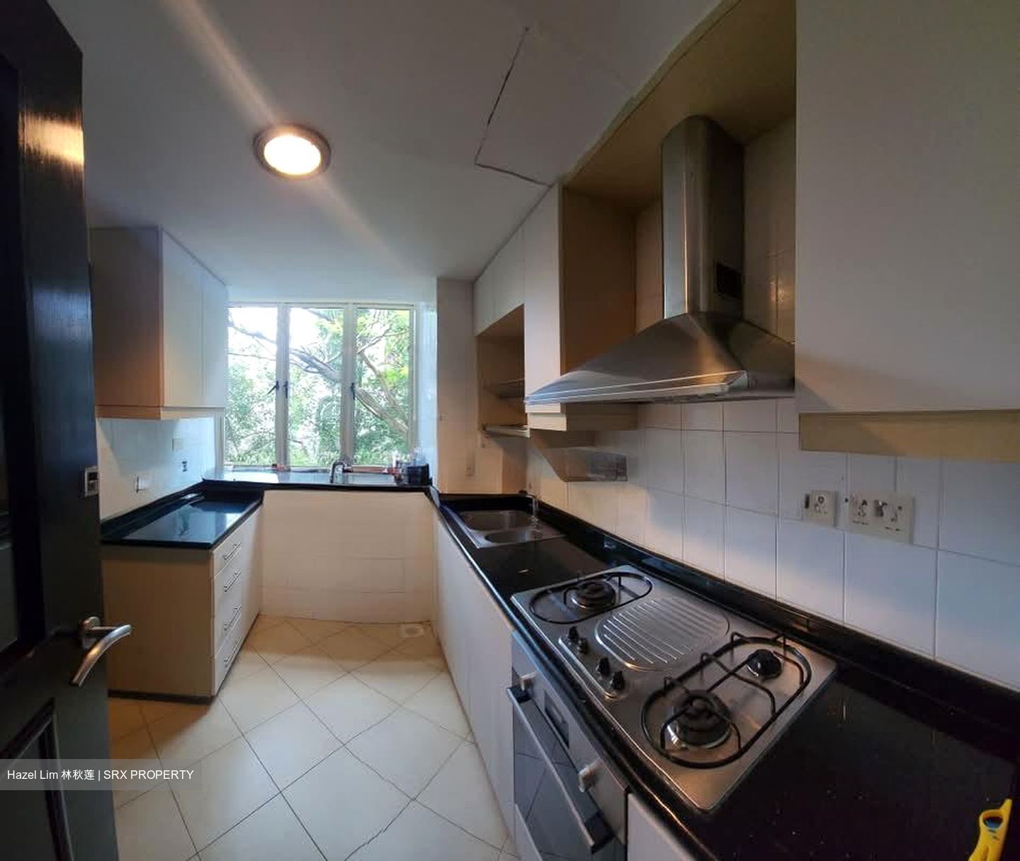 Jervois Regency (D10), Apartment #602885821
